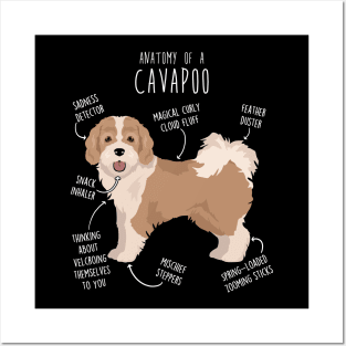 Parti Cavapoo Dog Anatomy Posters and Art